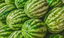 热门大瓜免费吃,免费畅享独家资讯盛宴！